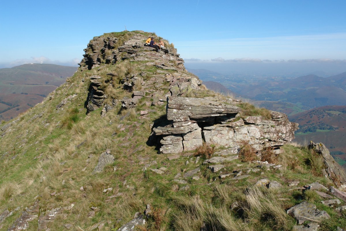Tontorra