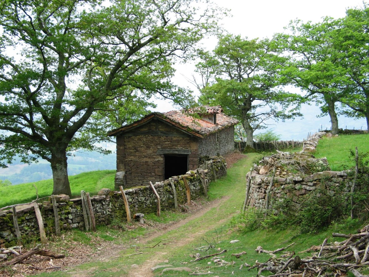 Elbetegaraiko borda