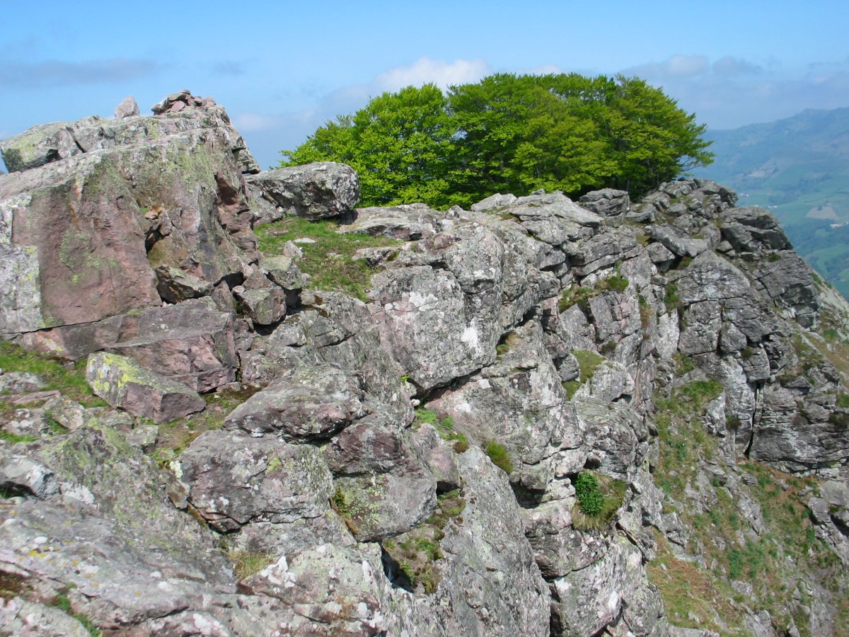 Tontorra