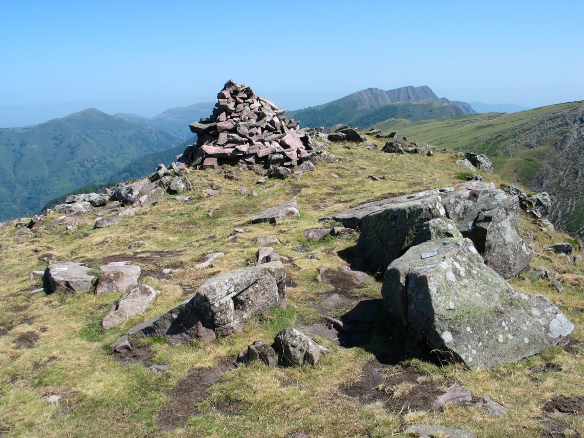 Tontorra