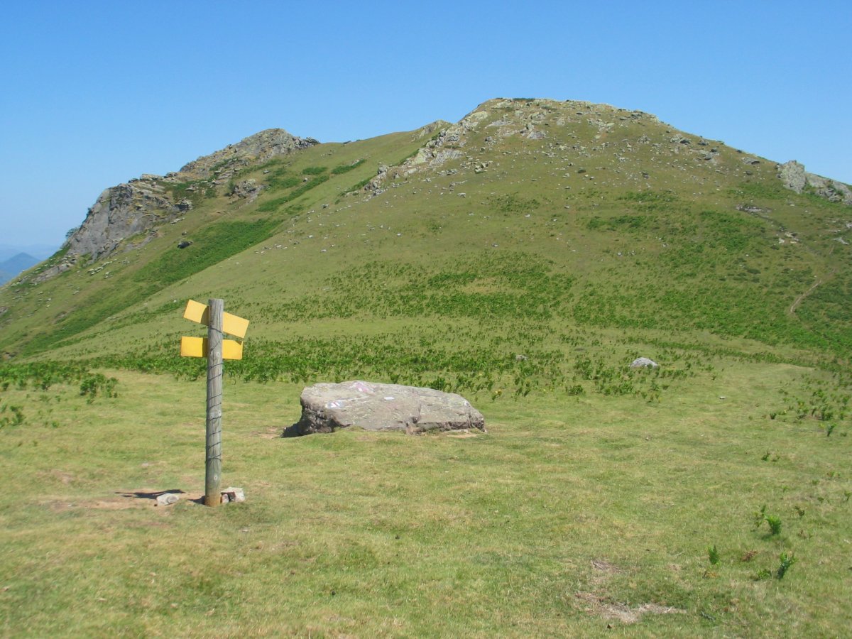 Buztanzelaiko lepoa