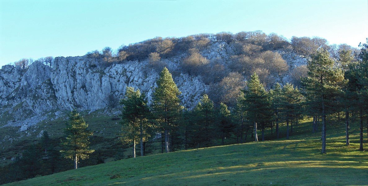 Errialtabaso