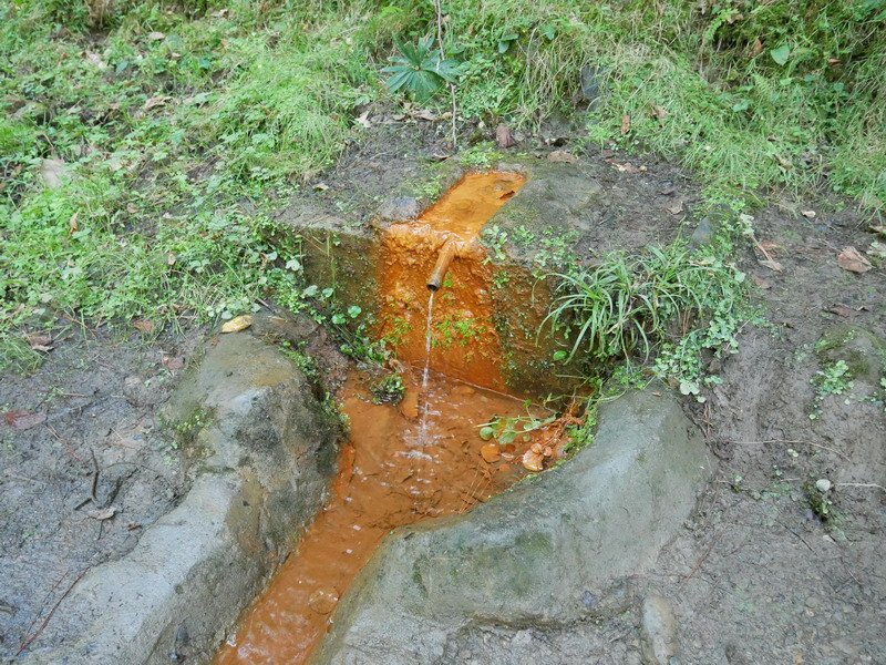Oro iturria