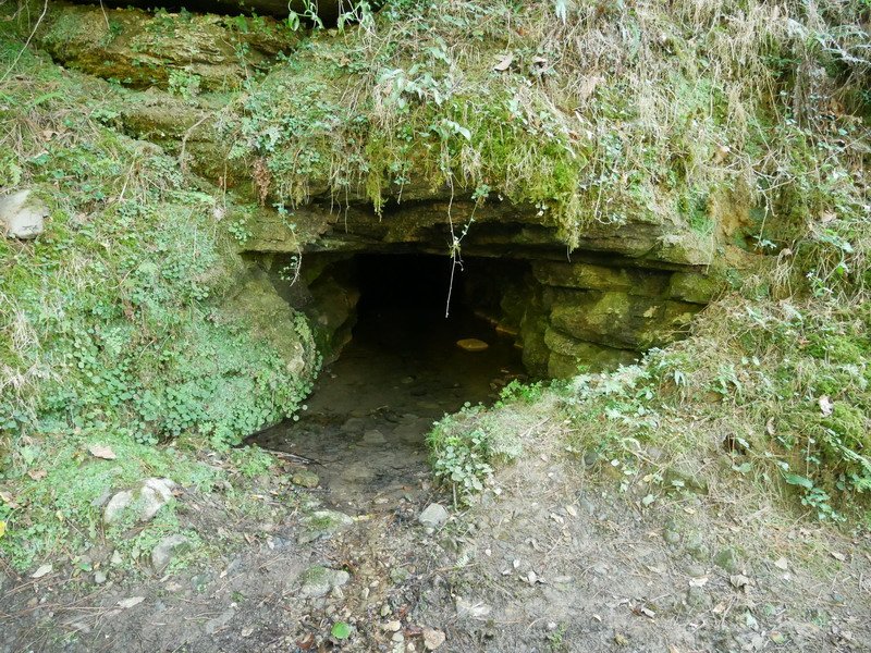 Aldameneko leizea
