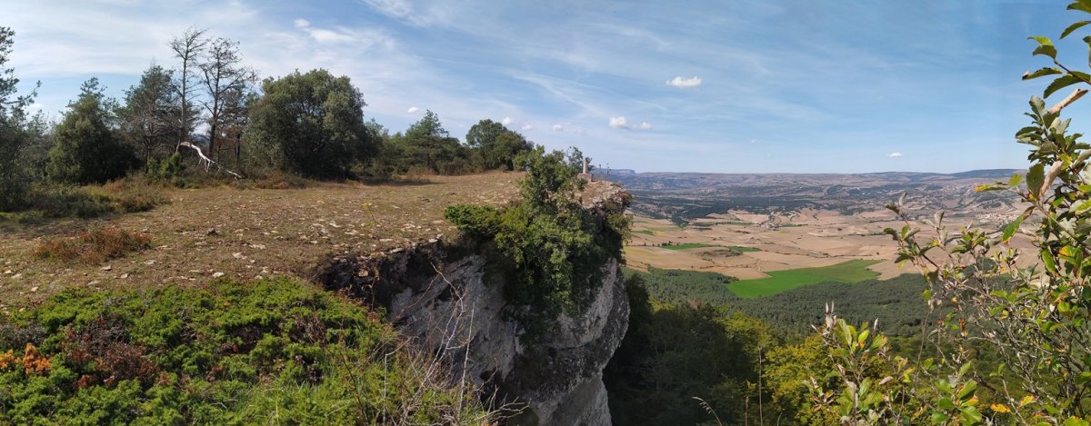Tontorra