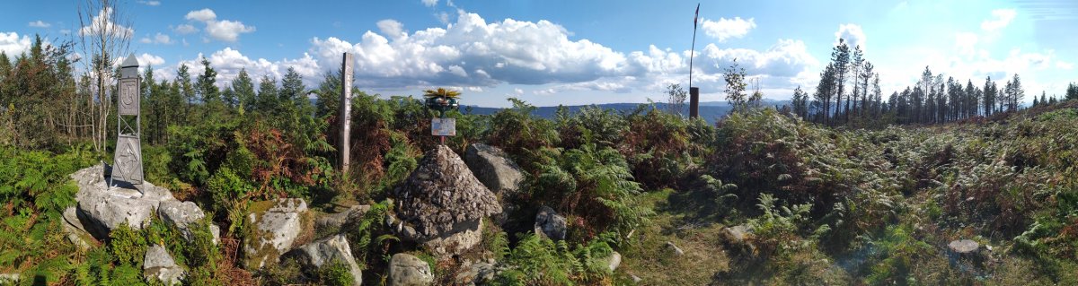 Tontorra