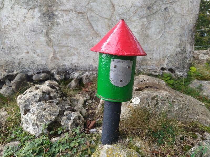 Buzoia