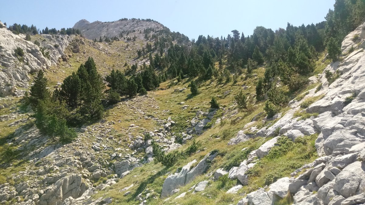 Ukerdi (2252m) igoera IM-ko kanaletik