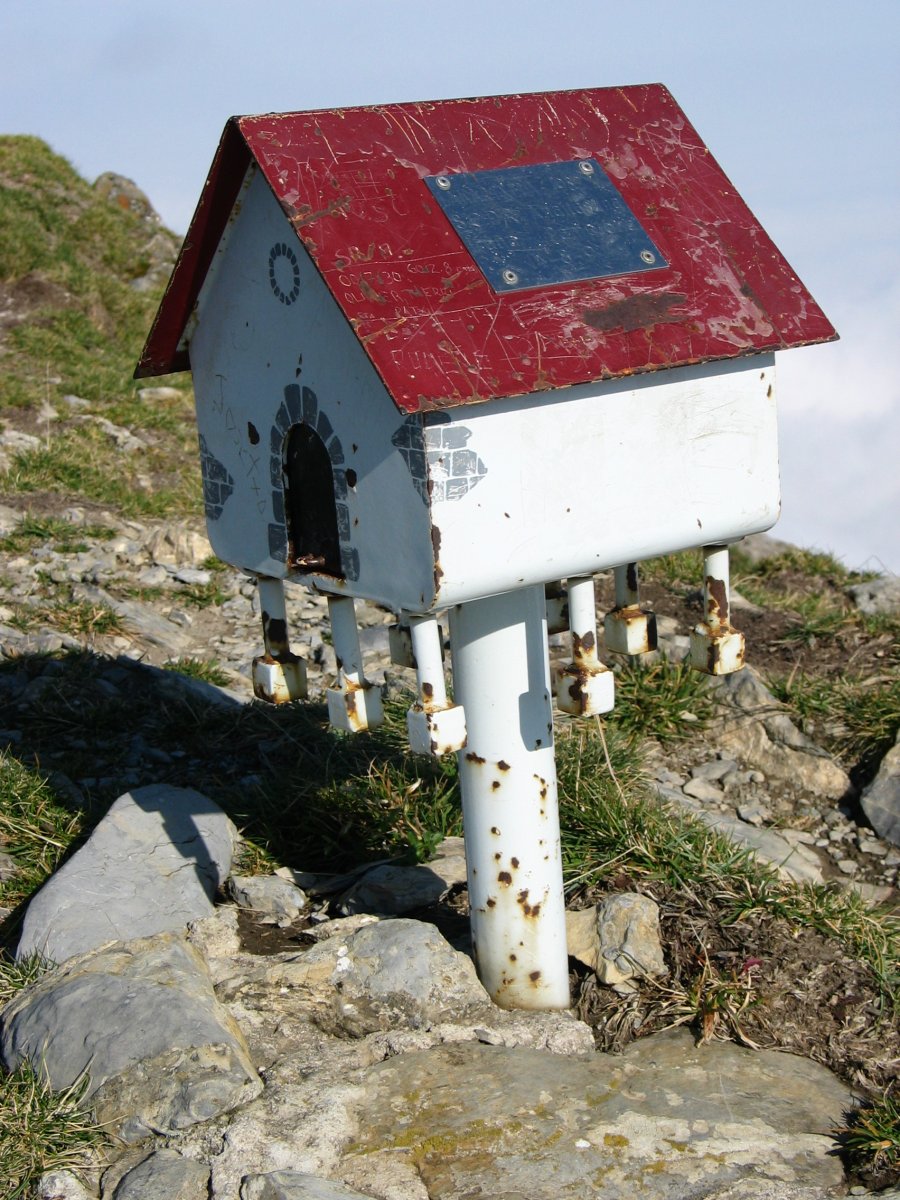 Buzoia