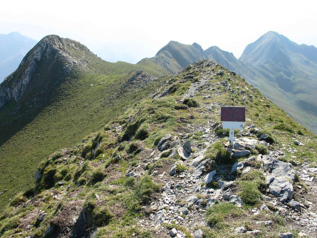 Tontorra