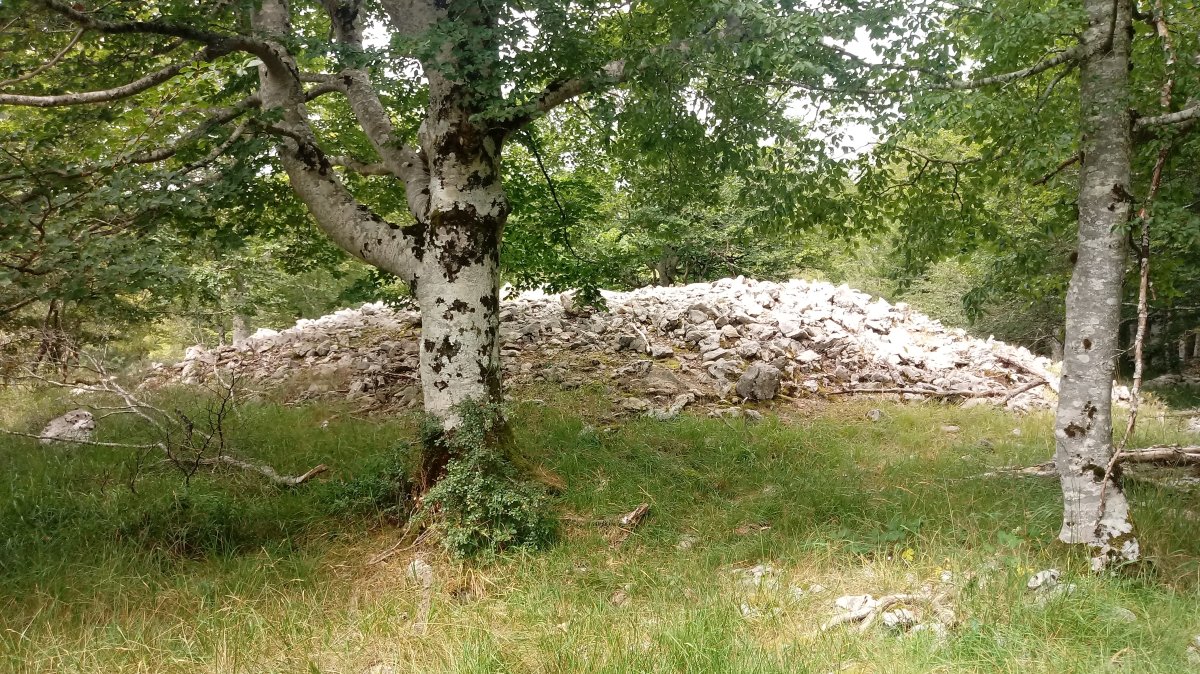 Debata Arruazu I trikuharria