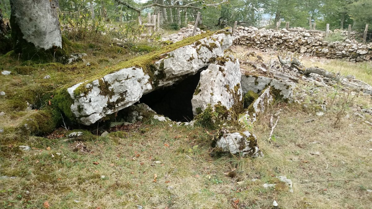 Erregeneko Debata III trikuharria