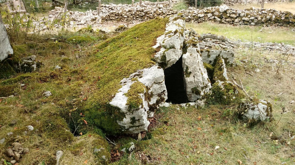 Erregeneko Debata III trikuharria (2021)