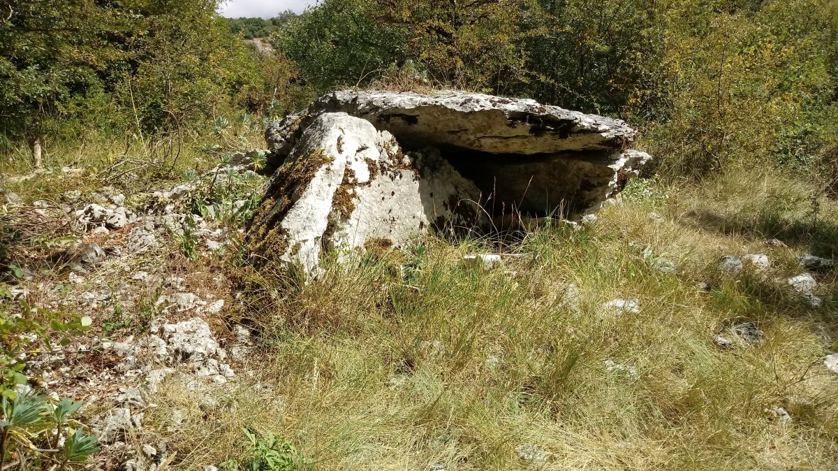 Zubeinta trikuharria