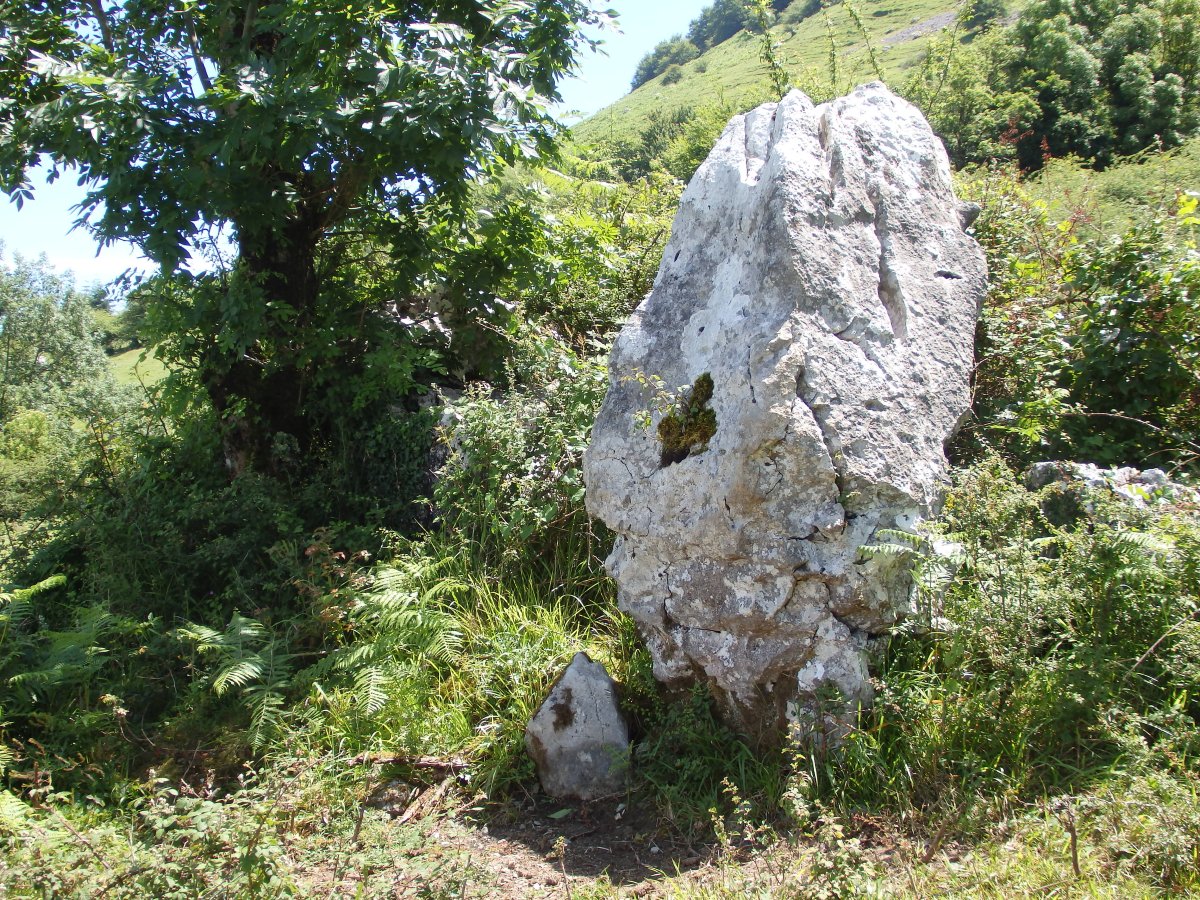 PLAZEGI III
