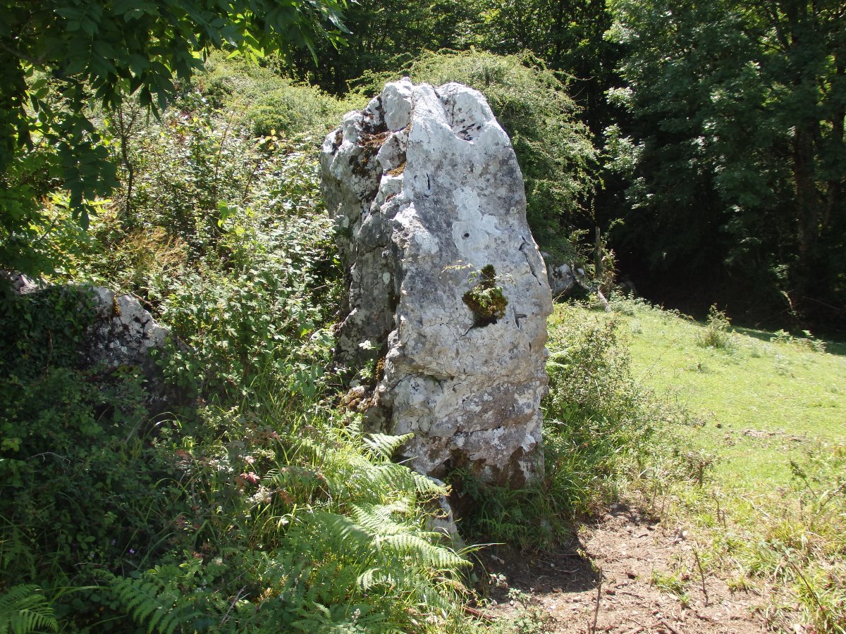 PLAZEGI III