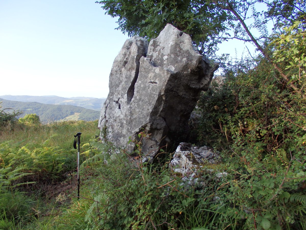 PLAZEGI III