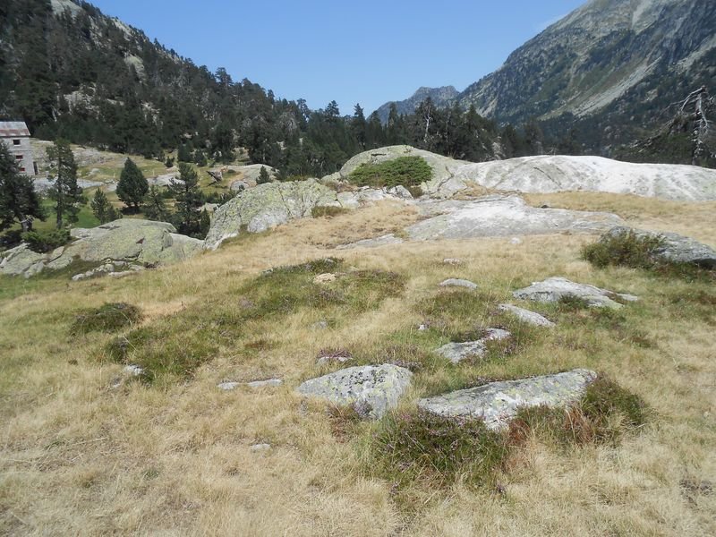 pla de la gole 1