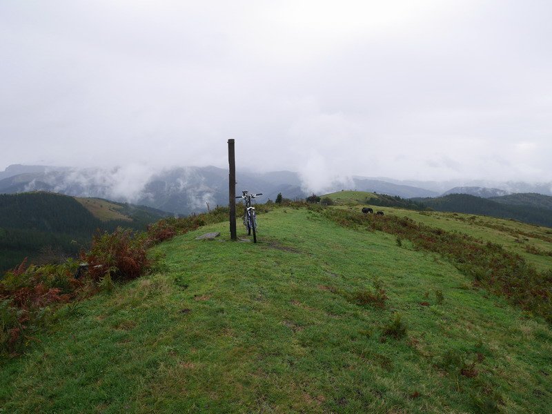 Eskorlako tontorra