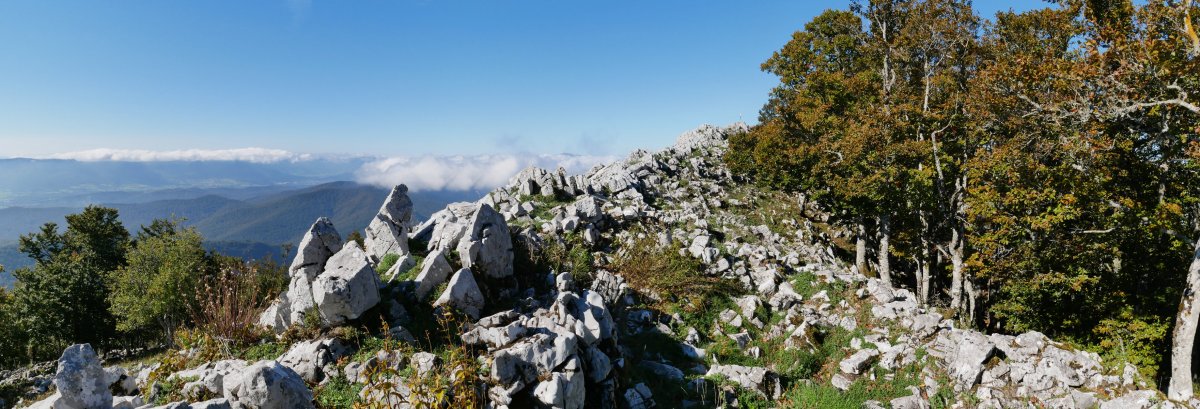 Tontorra ekialdetik