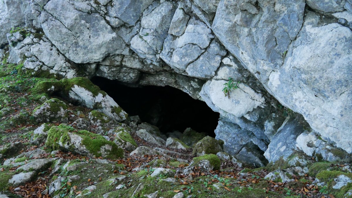 Puttarri koba