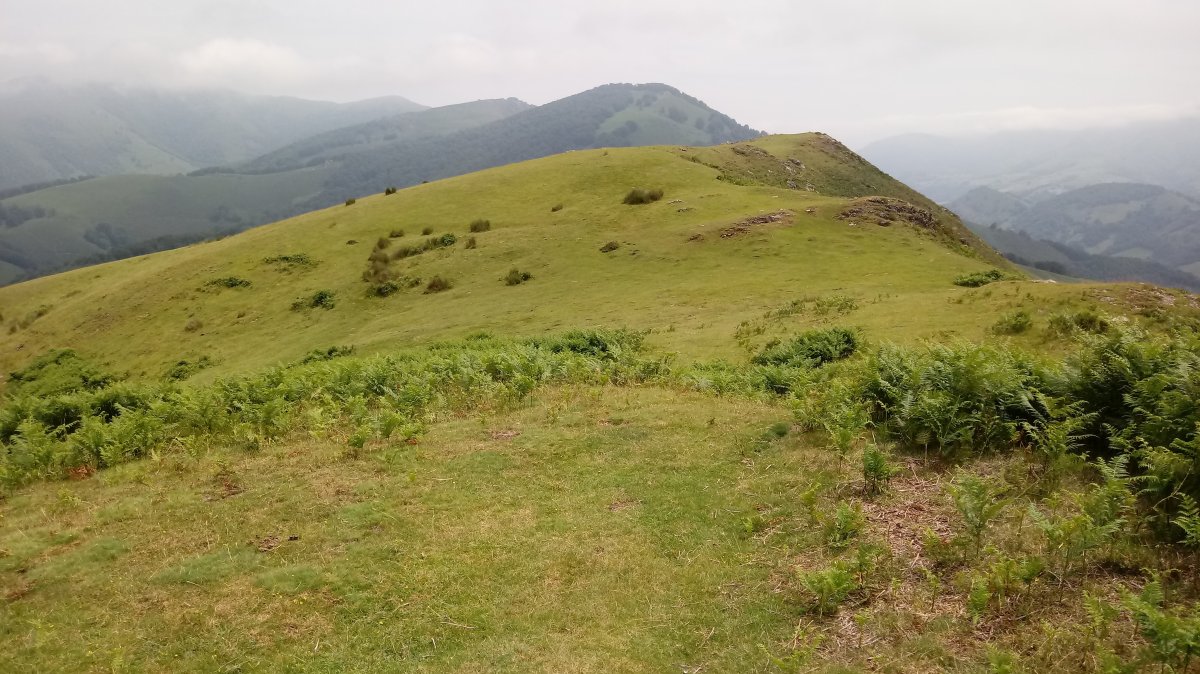 Zarkindegi (864m) tontorraldea