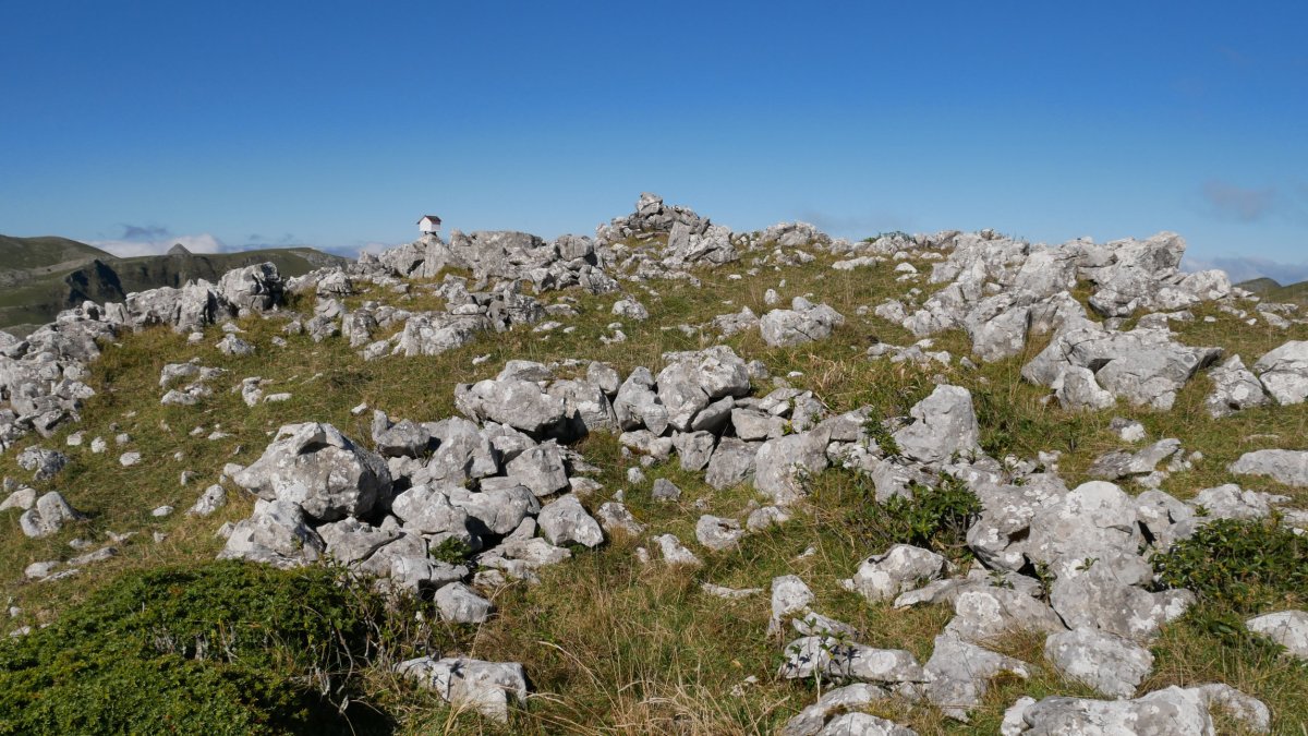Urgoiti, gailurra