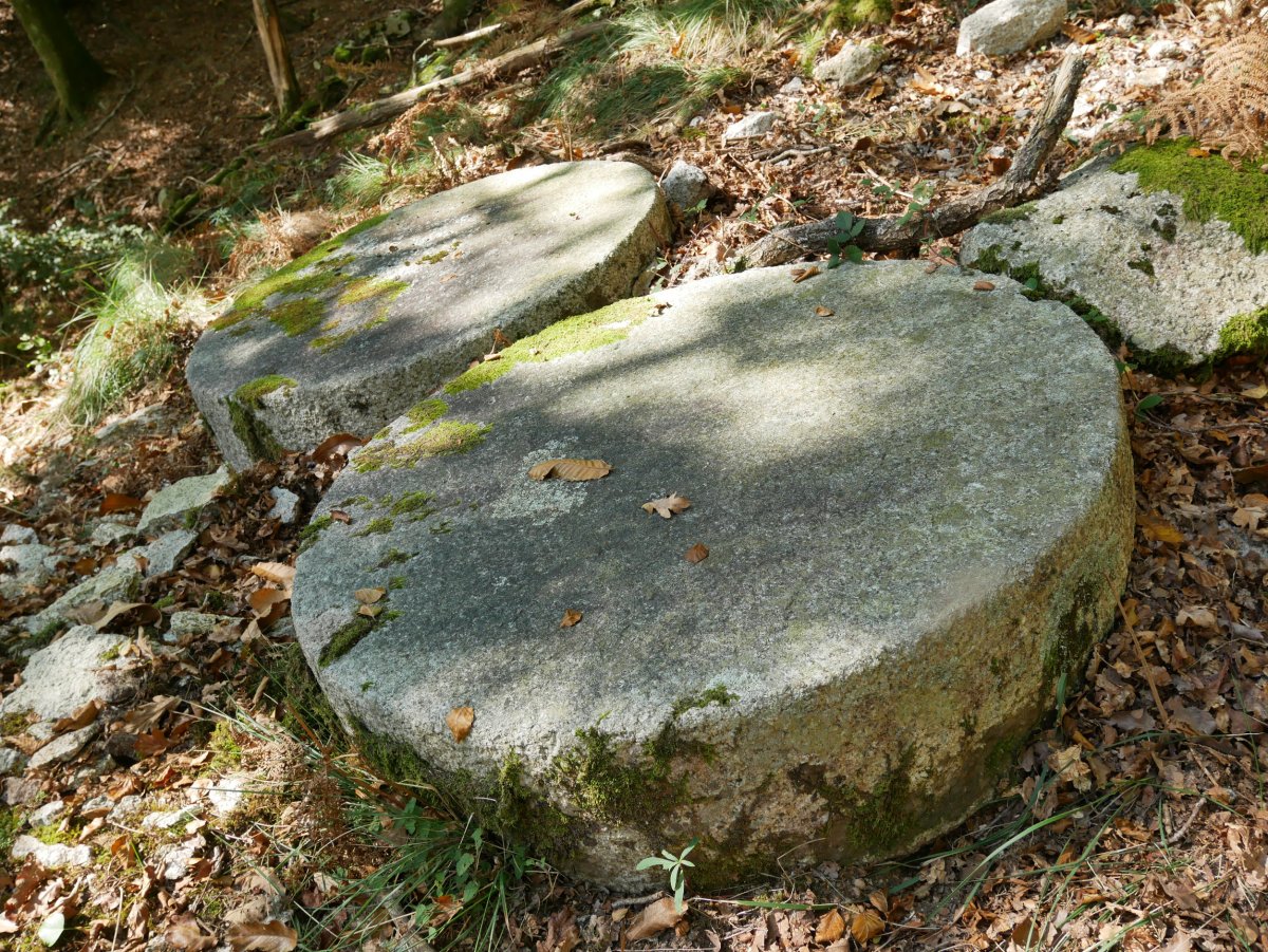 Errotarriak