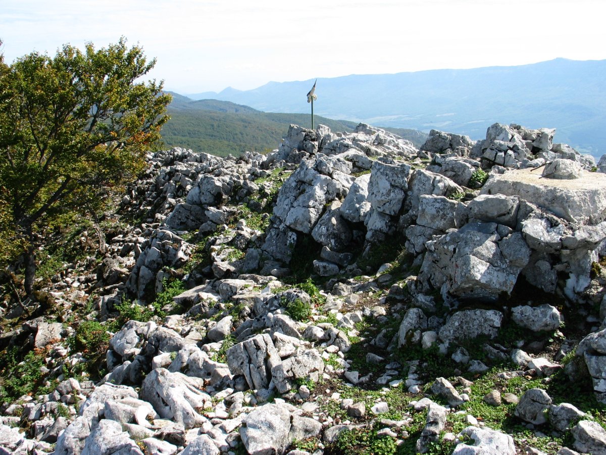 Tontorra