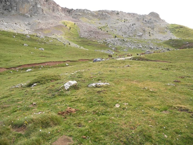 la bocona este