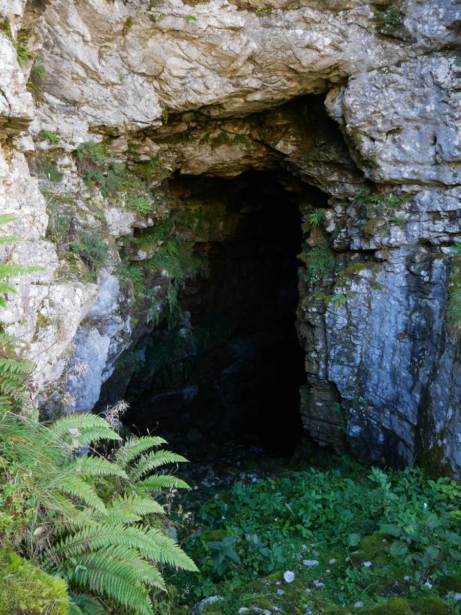 Kobagaña koba