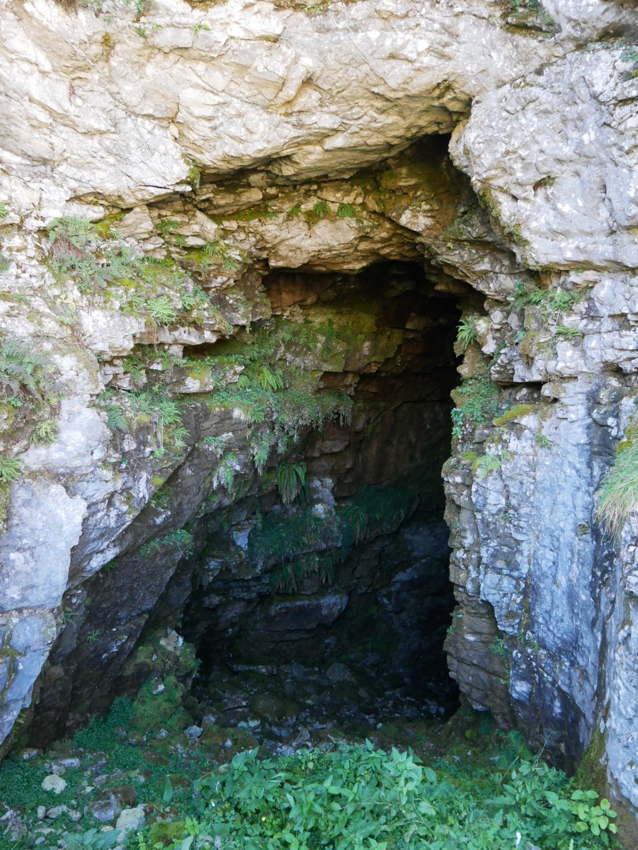 Kobagaña koba