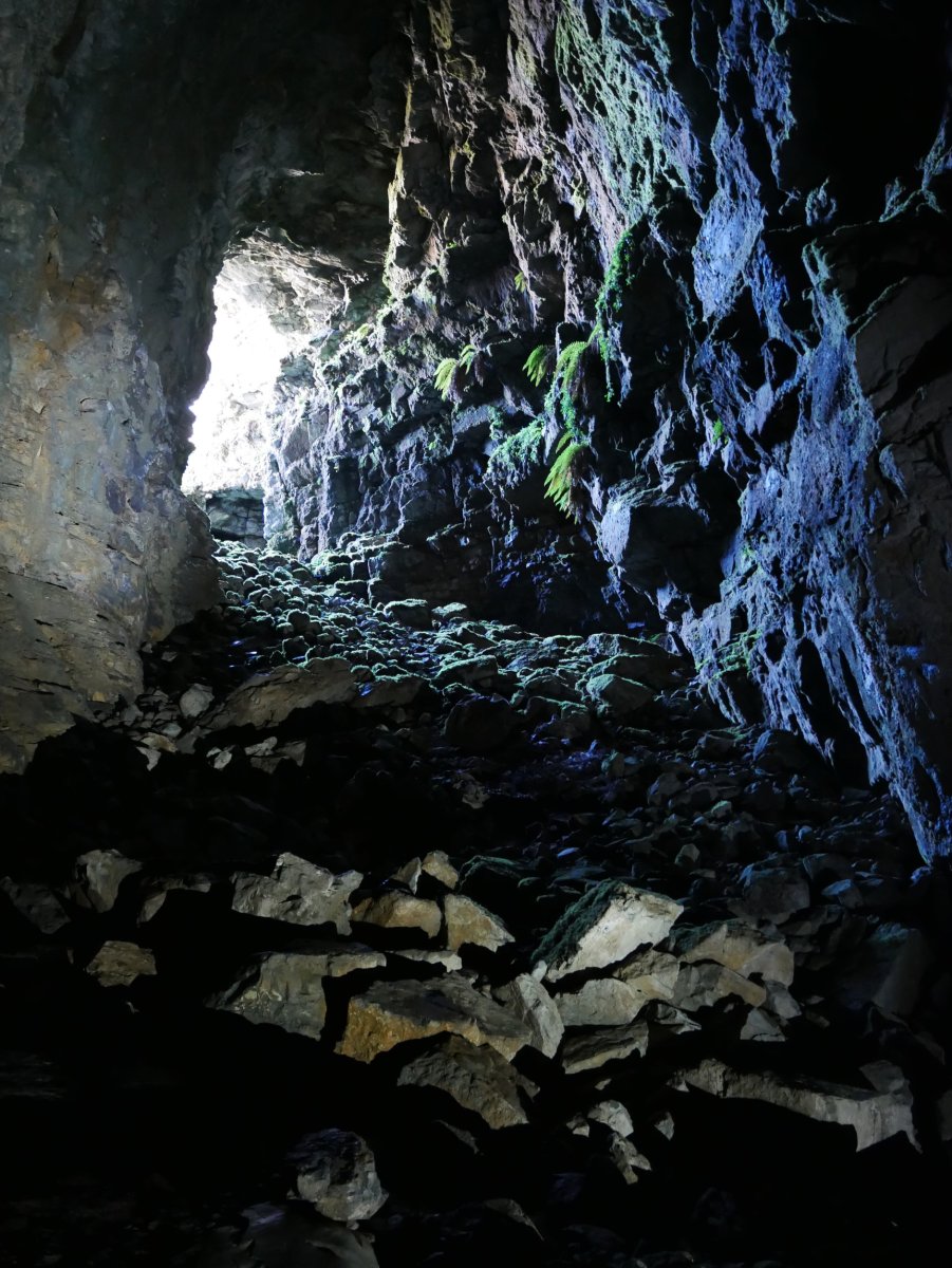 Kobagaña koba