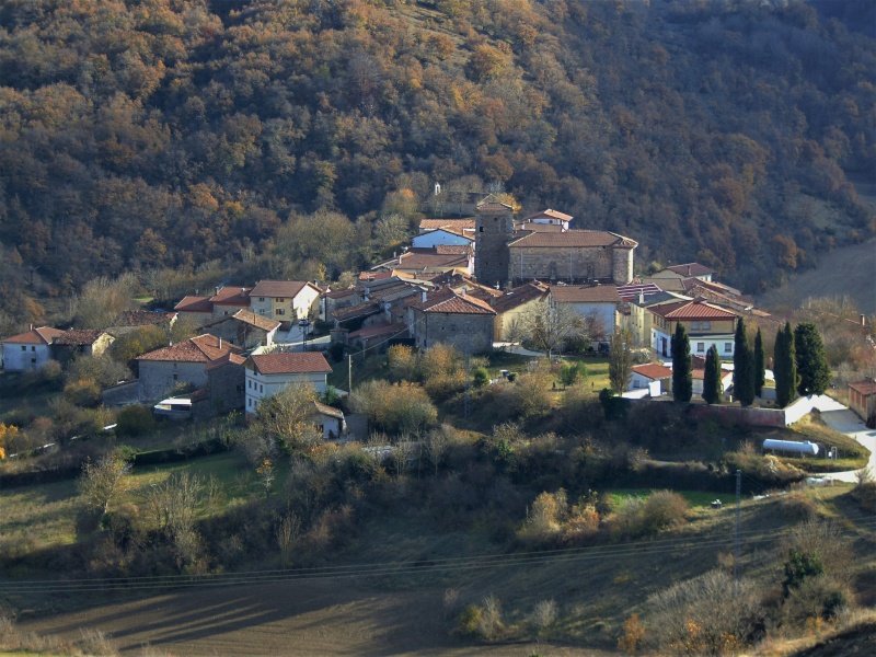 Kontrasta