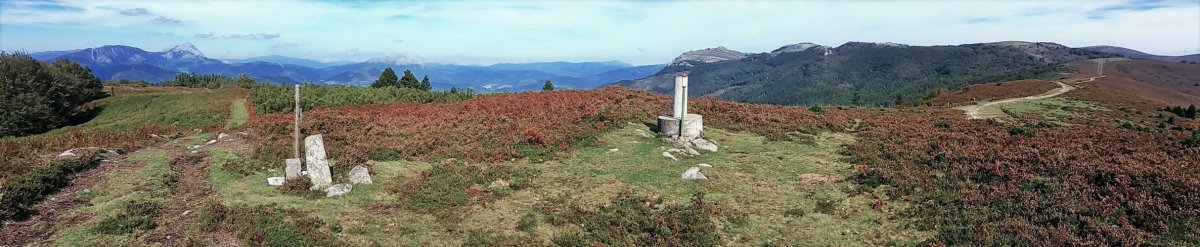Tontorra
