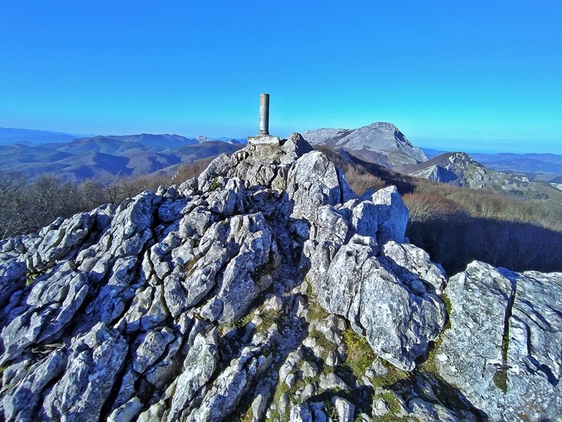 Tontorra