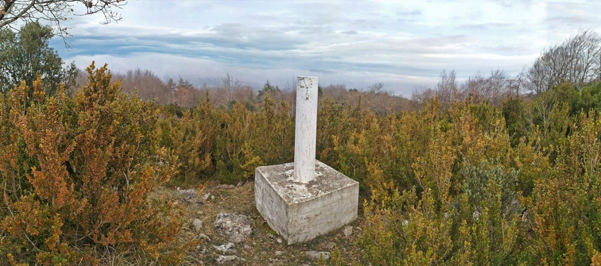 Tontorra
