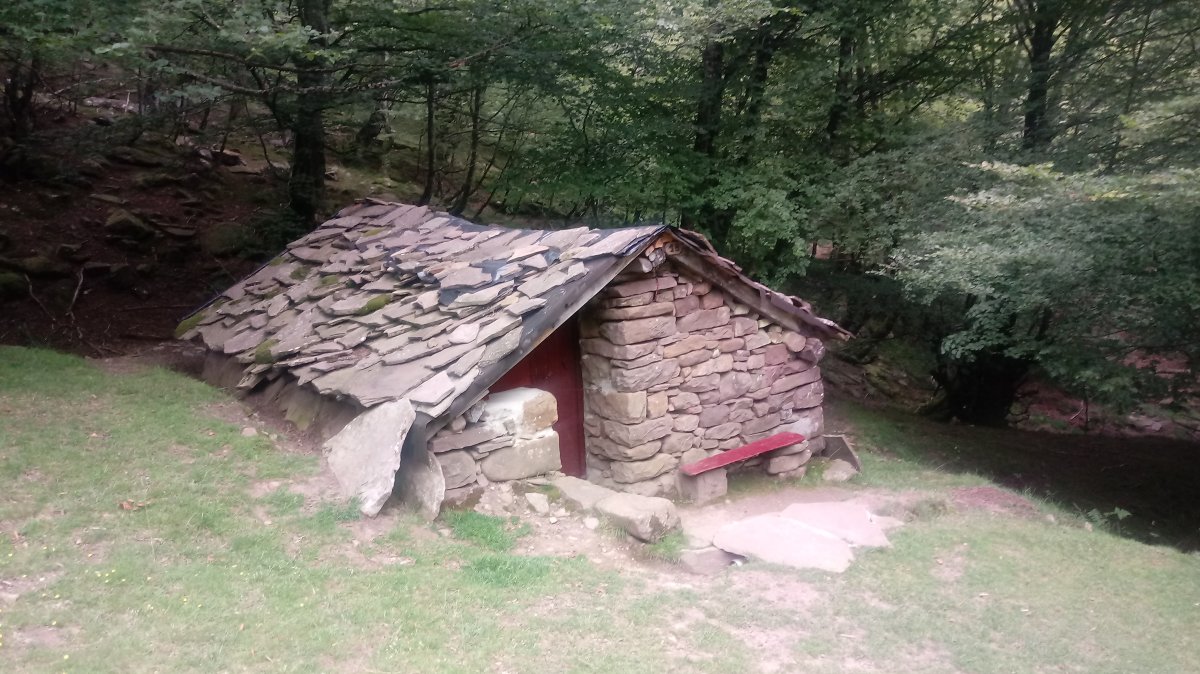 Borda