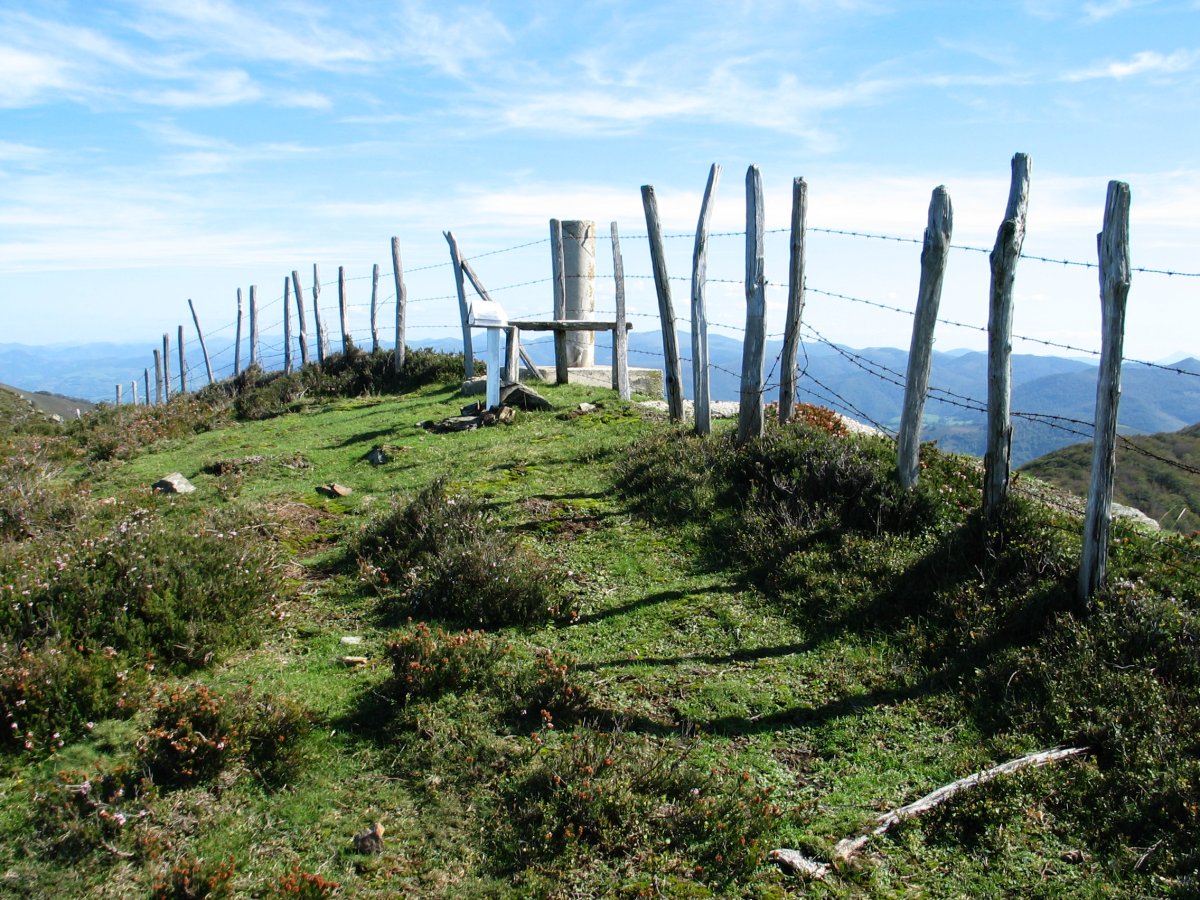Loitzate tontorra