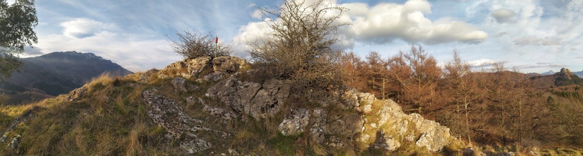 Tontorra
