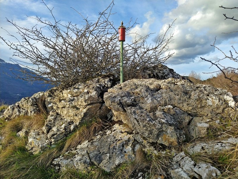 Tontorra