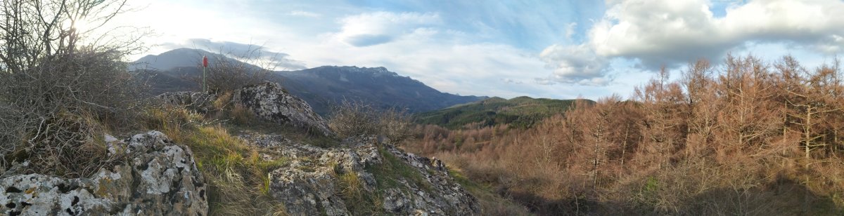 Tontorra