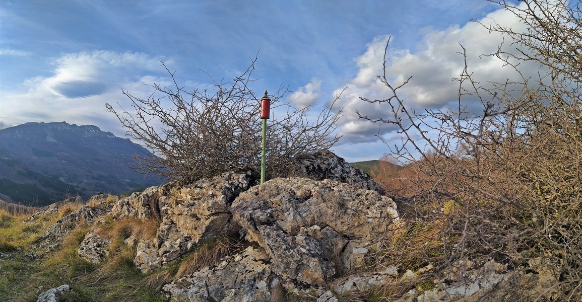 Tontorra