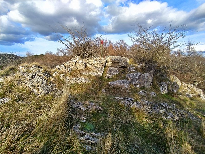 Tontorra