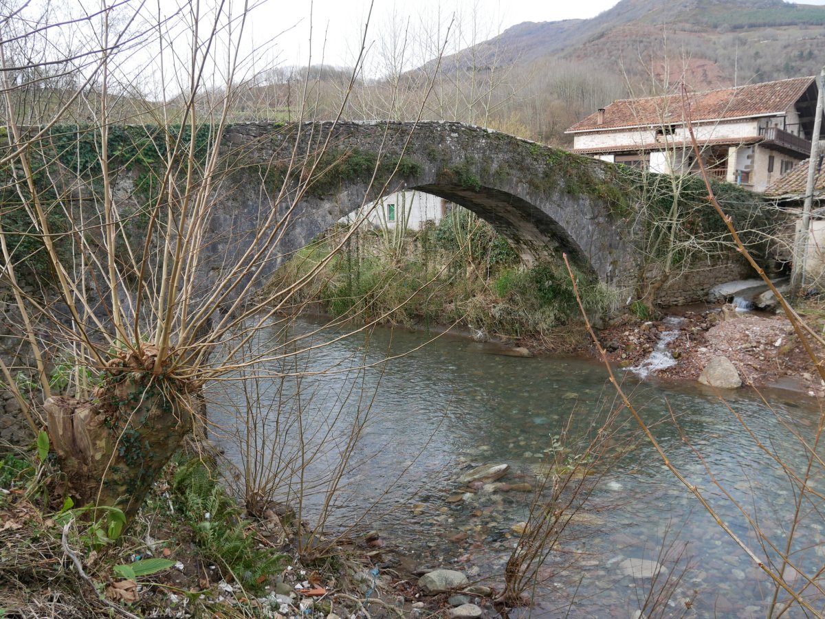 Elgorriagako zubia