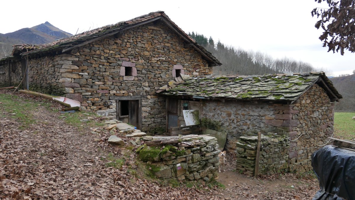 Domintxengo borda