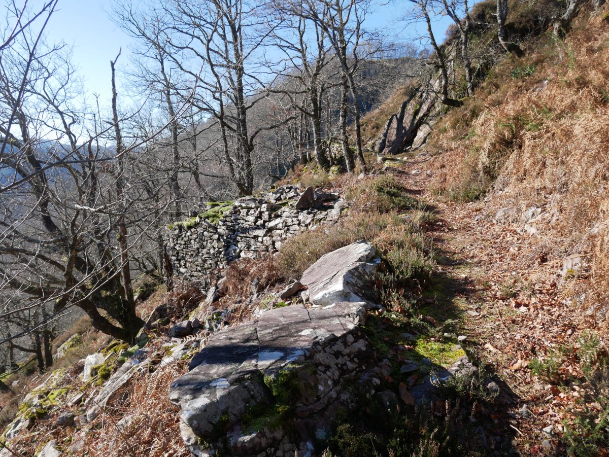 Iratzabalgo bidea