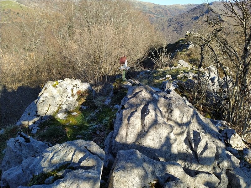 Tontorra