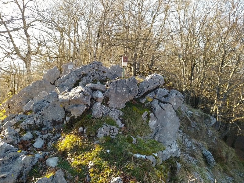 Tontorra
