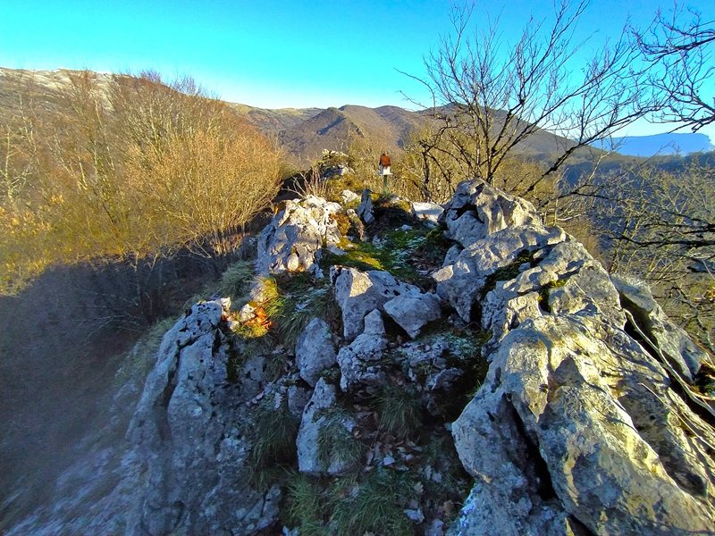 Tontorra